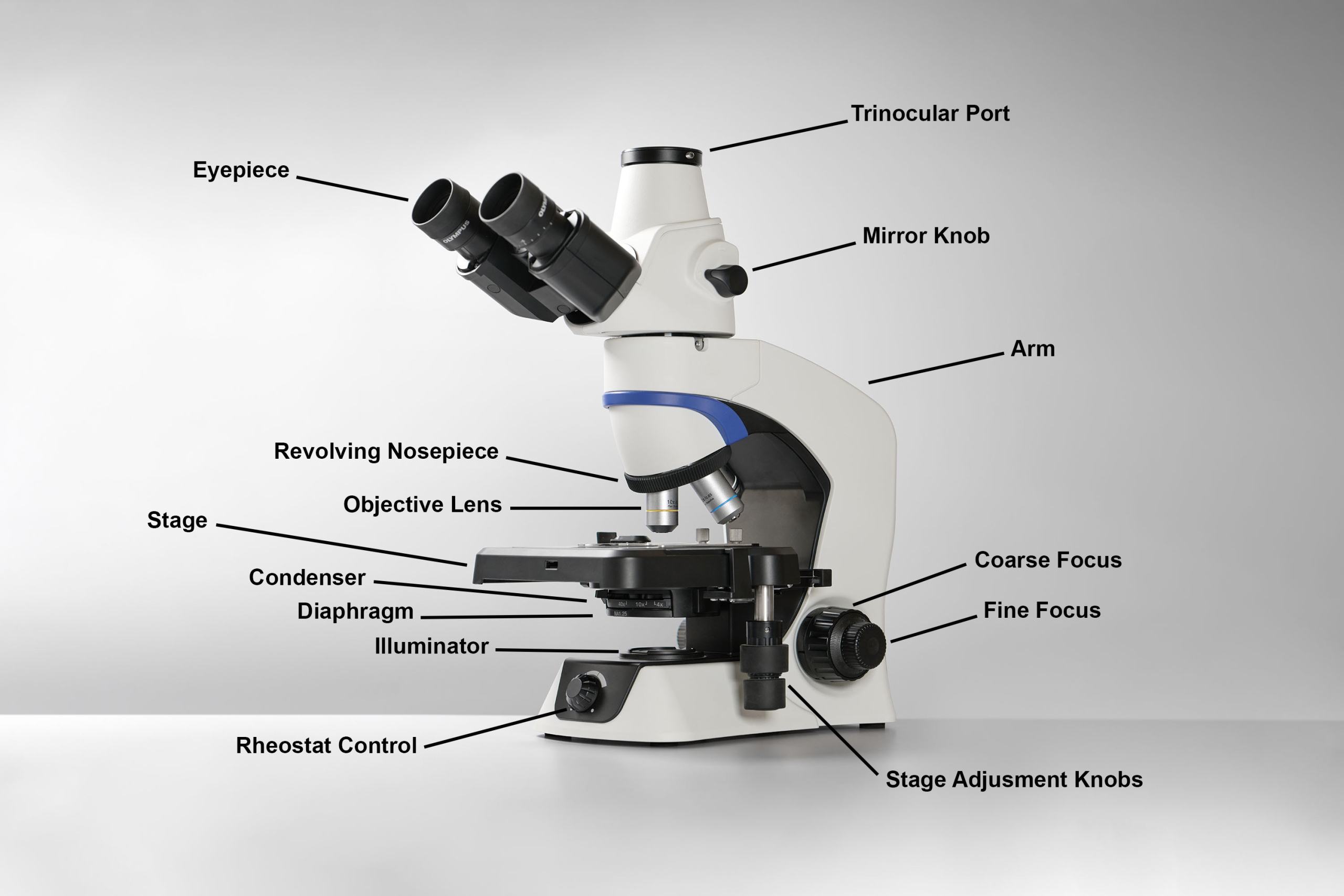 An Introduction to Microscopic Photography